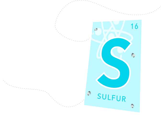 Glutathione's Sulfur bonds act like fly paper, trapping toxins found in the body.